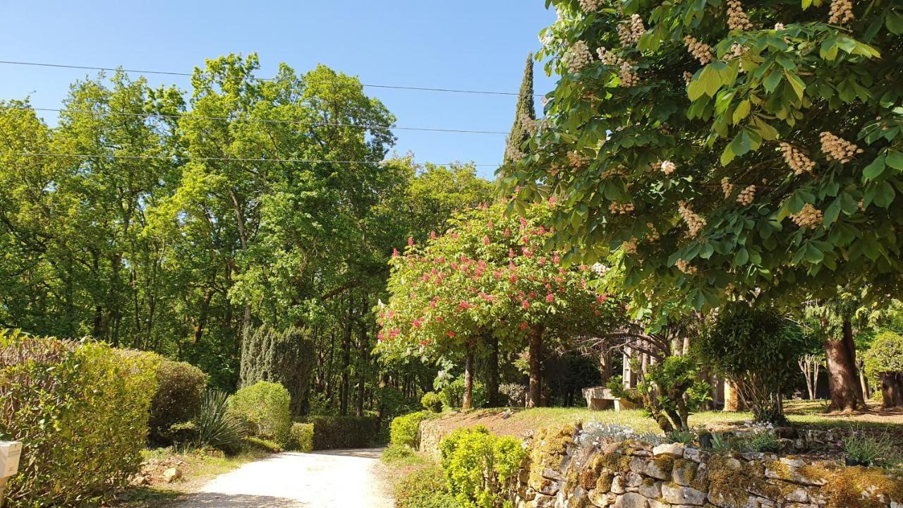 Domaine Du Cardou Ξενοδοχείο Puy-lʼÉvêque Εξωτερικό φωτογραφία