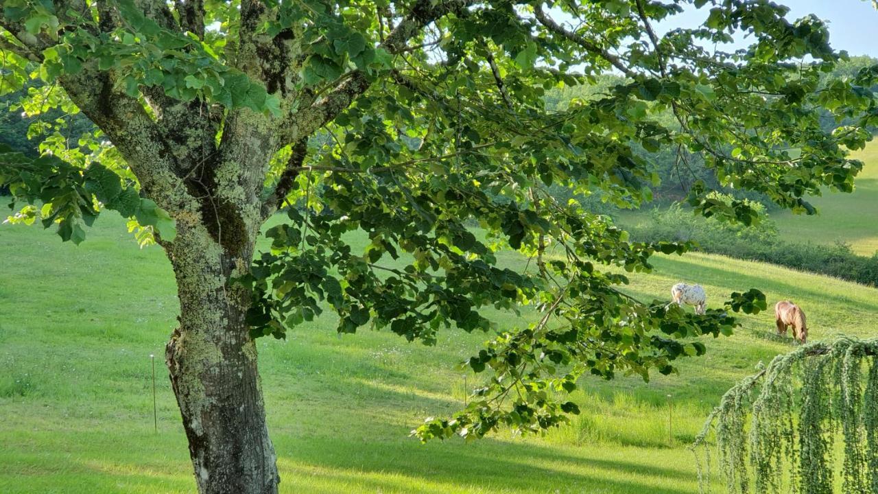 Domaine Du Cardou Ξενοδοχείο Puy-lʼÉvêque Εξωτερικό φωτογραφία