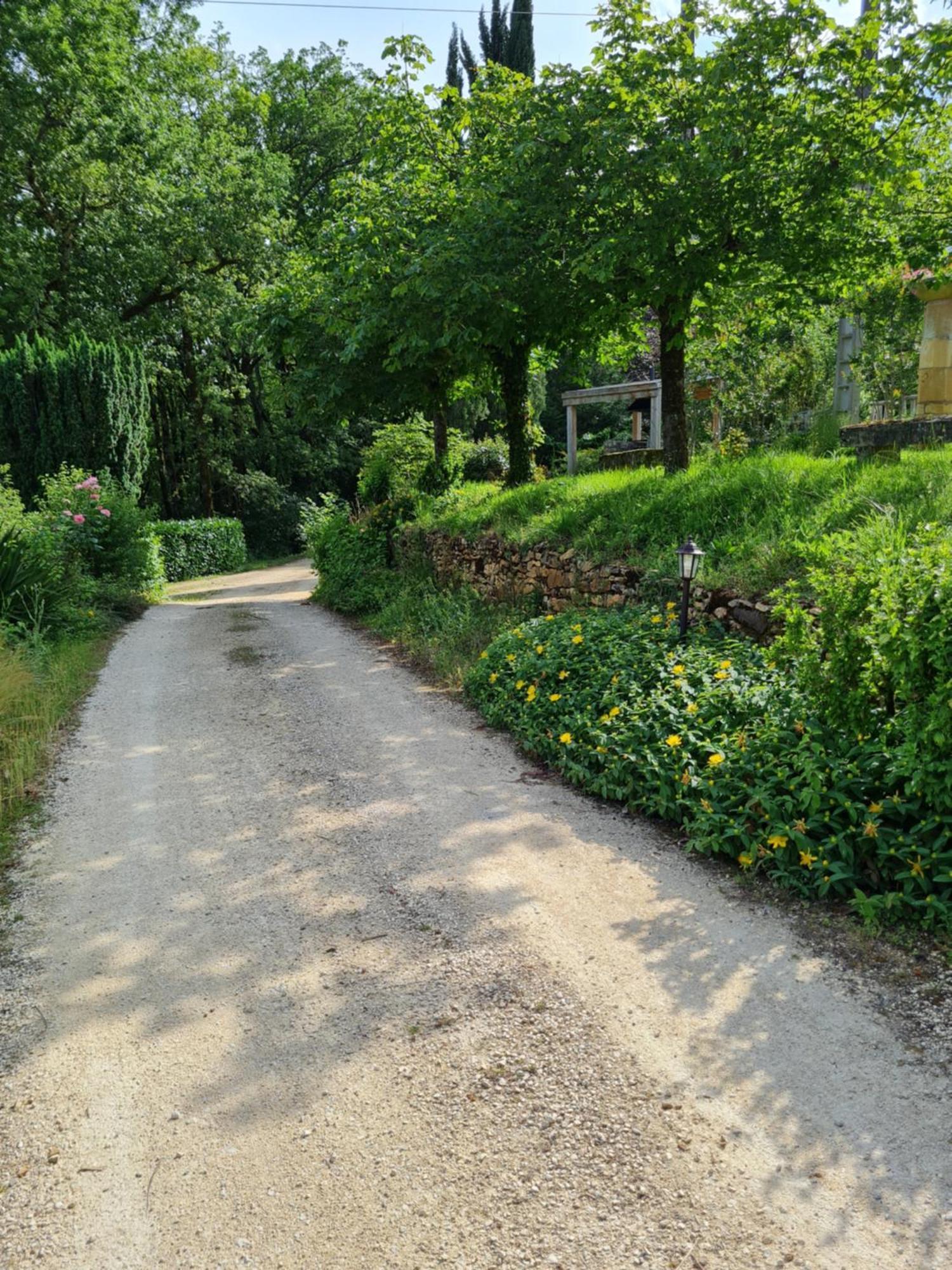 Domaine Du Cardou Ξενοδοχείο Puy-lʼÉvêque Εξωτερικό φωτογραφία